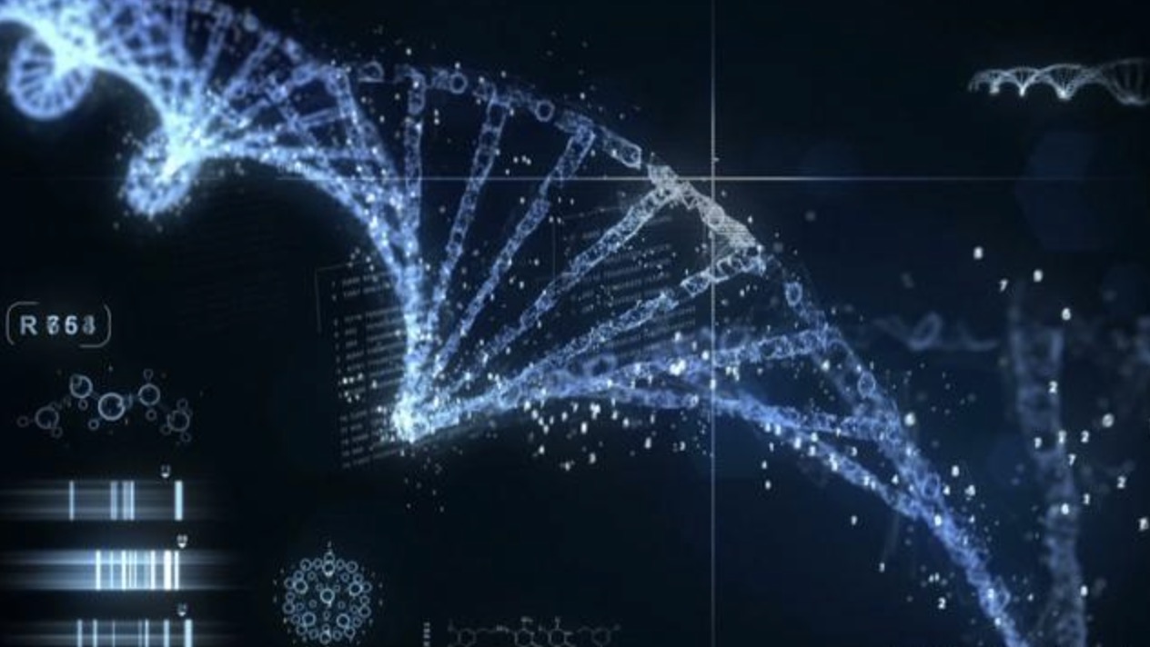 We Have Found the Rosetta Stone of DNA Expression