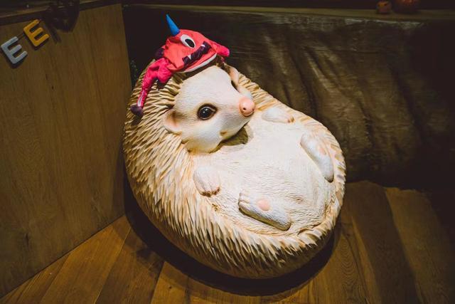 Hedgehogs increasing popularity in Japan