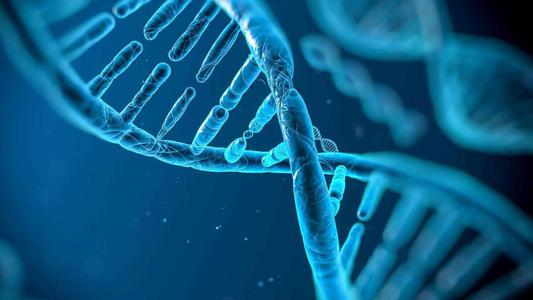 Genetic factors have significant impacts on the risk of sex crimes