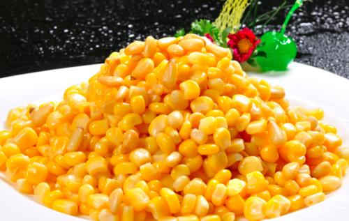 Why human beings cannot digest corns?