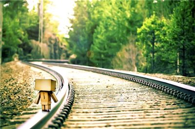 Why do Fallen Leaves Make Rails Slippery?
