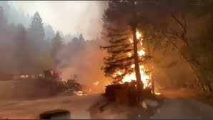 Terrible Black Sludge After Vast Wildfires 