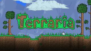 Terraria: An Adventure in the Pixelated Realm！